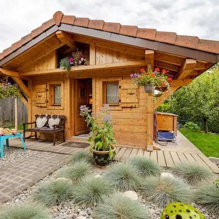 Le Chalet Des 3 Ours Neuvecelle Luaran gambar