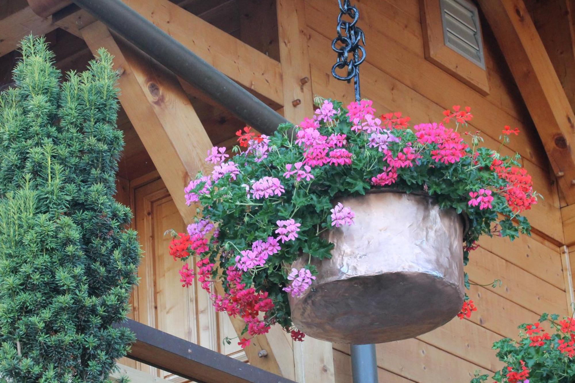 Le Chalet Des 3 Ours Neuvecelle Luaran gambar